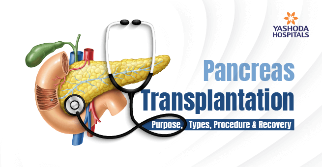 Pancreas Main Banner