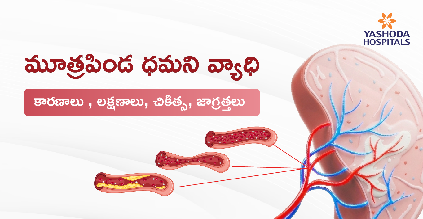 renal-artery-telugu-main