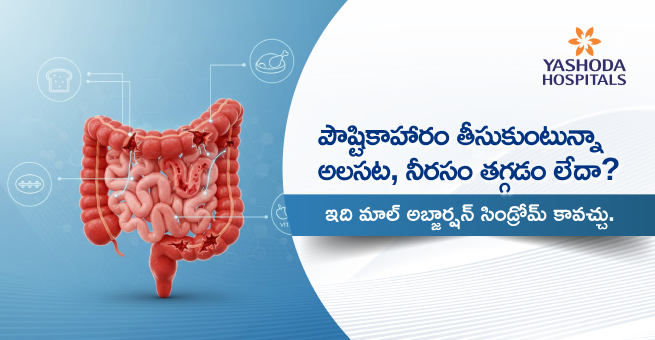 పౌష్టికాహారం తీసుకుంటున్నా అలసట၊ నఱట తగ్గడం లేదా? ఇది మాల్ అబ్జార్షన్ సిండ్రోమ్ కావచ్.చ